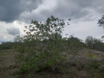 Moradia T1 para Venda em Querença, Tôr e Benafim