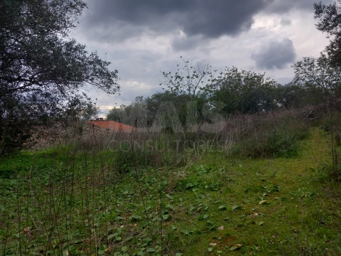 Moradia T1 para Venda em Querença, Tôr e Benafim Foto 5
