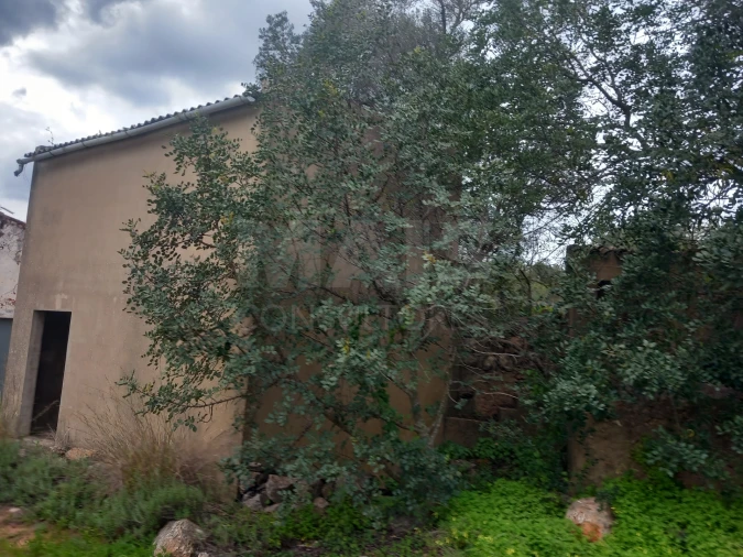 Moradia T1 para Venda em Querença, Tôr e Benafim Foto 8