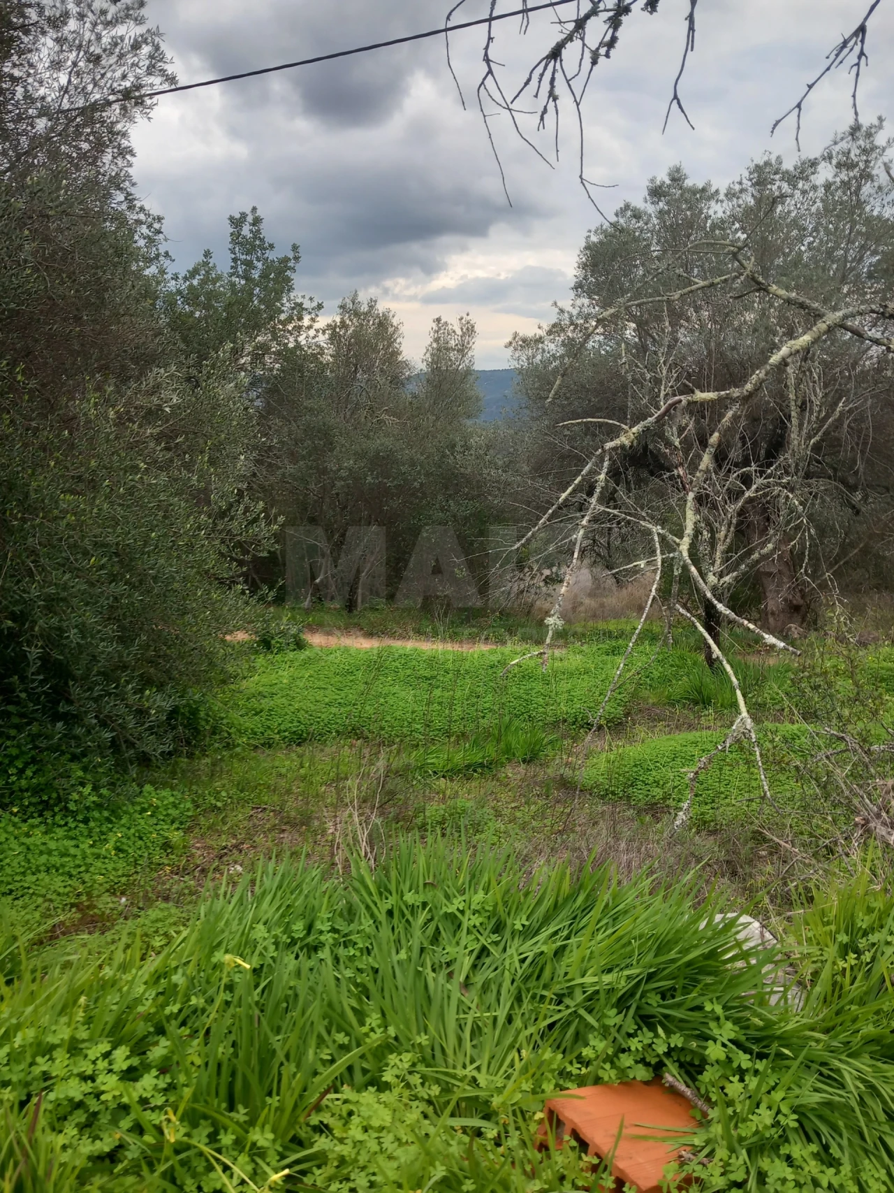 Moradia T1 para Venda em Querença, Tôr e Benafim Foto 12
