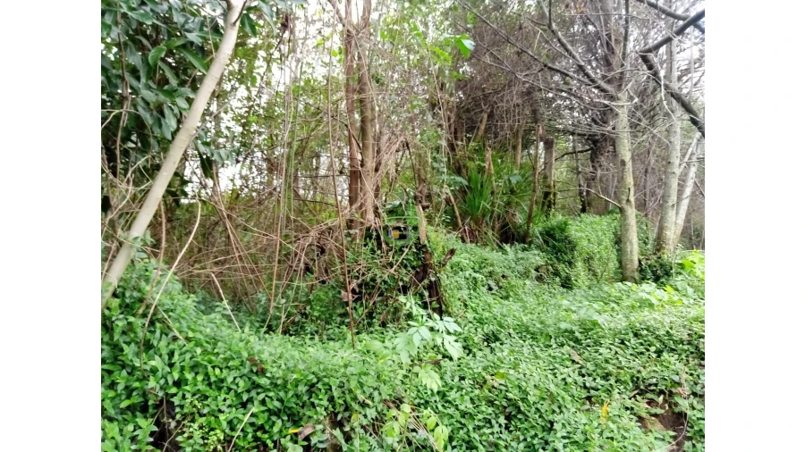 Moradia T3 para Venda em Vade Foto 13