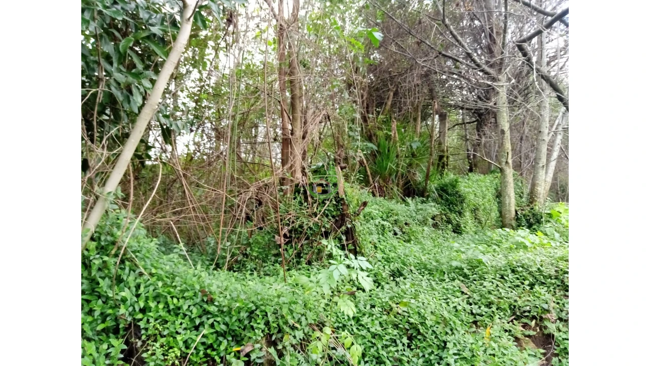 Moradia T3 para Venda em Vade Foto 13