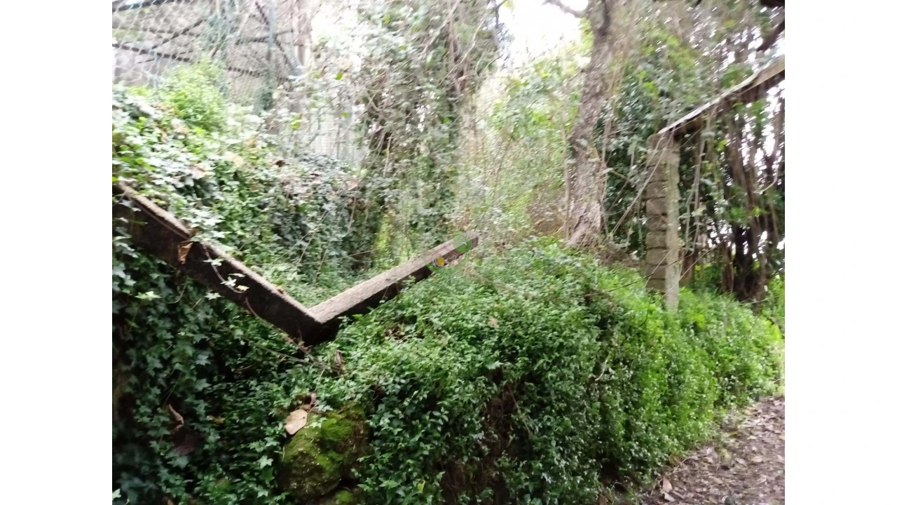 Moradia T3 para Venda em Vade Foto 14