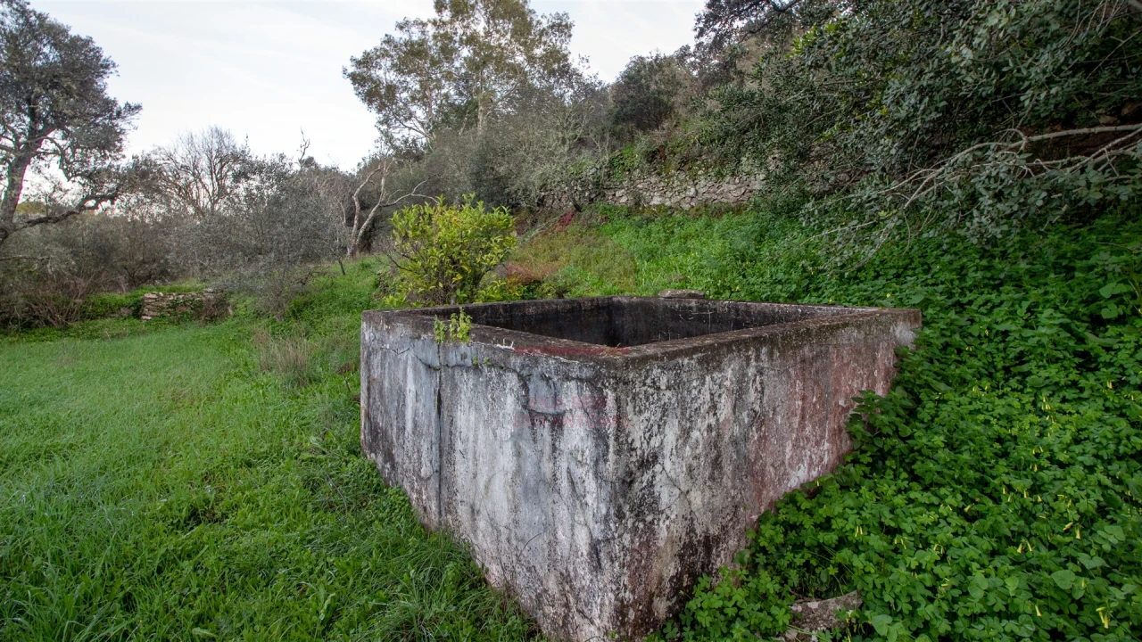 Moradia T0 para Venda em Martim Longo Foto 12