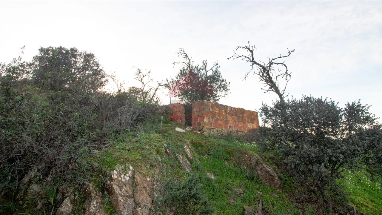 Moradia T0 para Venda em Martim Longo Foto 3