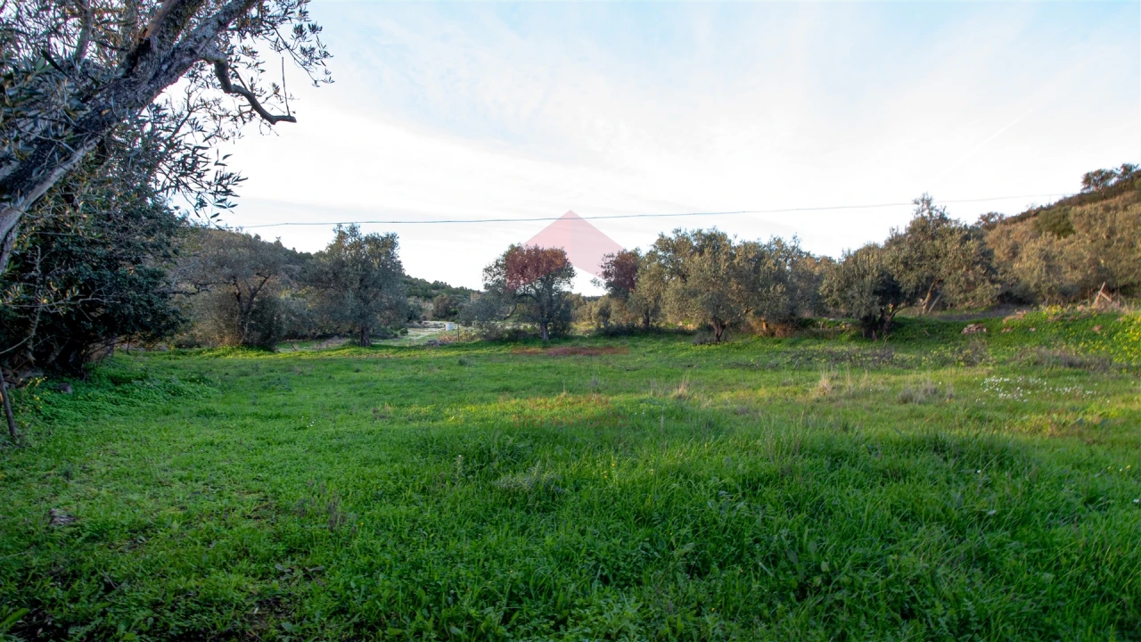 Moradia T0 para Venda em Martim Longo Foto 9