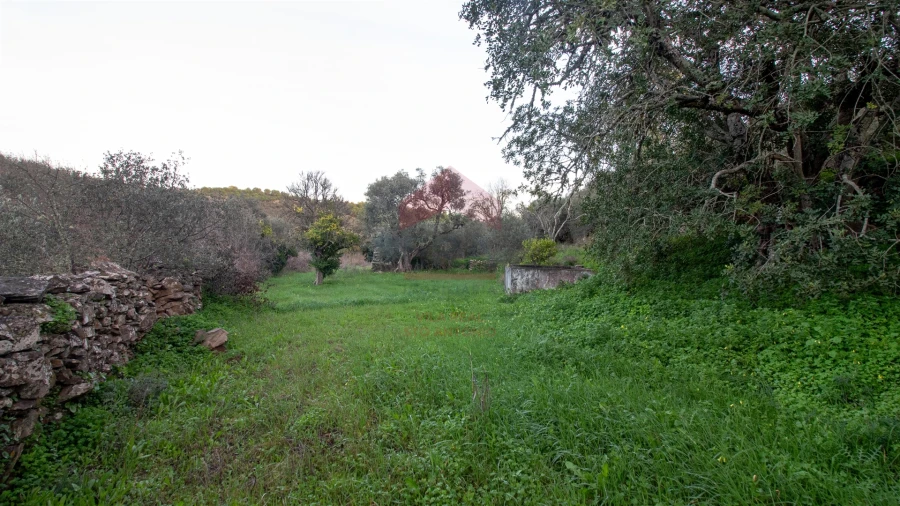 Moradia T0 para Venda em Martim Longo Foto 11