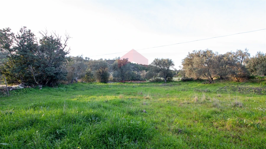 Moradia T0 para Venda em Martim Longo Foto 8