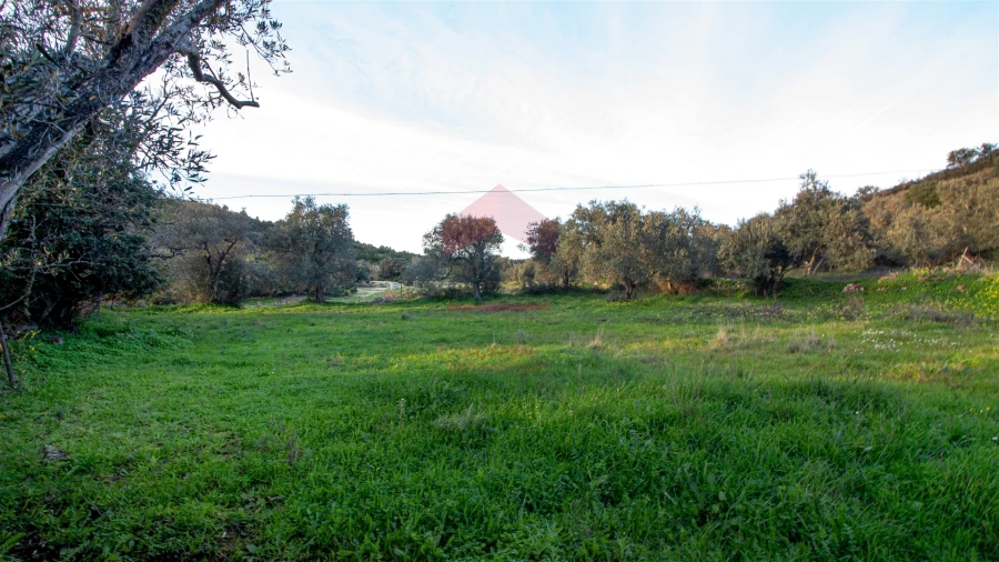 Moradia T0 para Venda em Martim Longo Foto 9