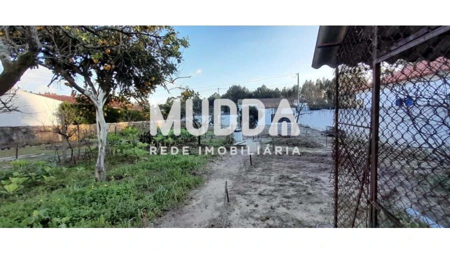 Terreno para Venda em Ovar, São João, Arada e São Vicente de Pereira Jusã Foto 1