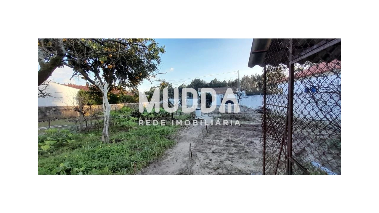 Terreno para Venda em Ovar, São João, Arada e São Vicente de Pereira Jusã Foto 1