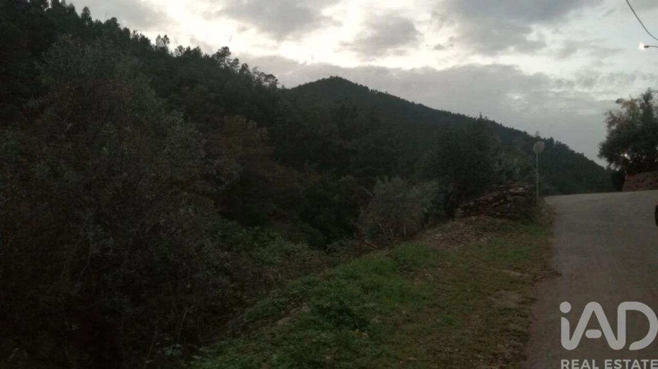 Moradia T5 para Venda em Sé e São Lourenço Foto 27