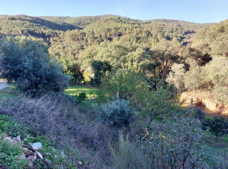 Moradia T5 para Venda em Sé e São Lourenço Foto 8