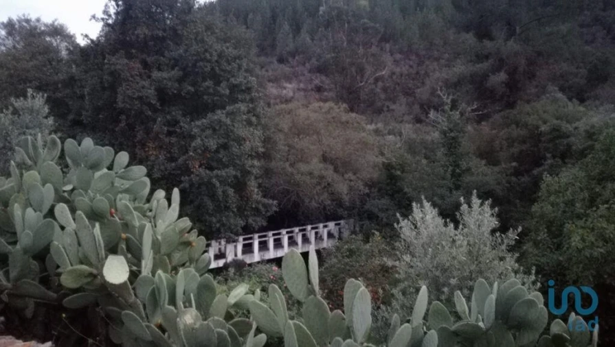 Moradia T5 para Venda em Sé e São Lourenço Foto 11