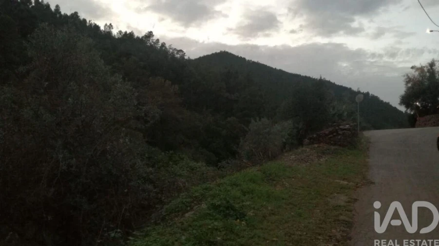 Moradia T5 para Venda em Sé e São Lourenço Foto 27