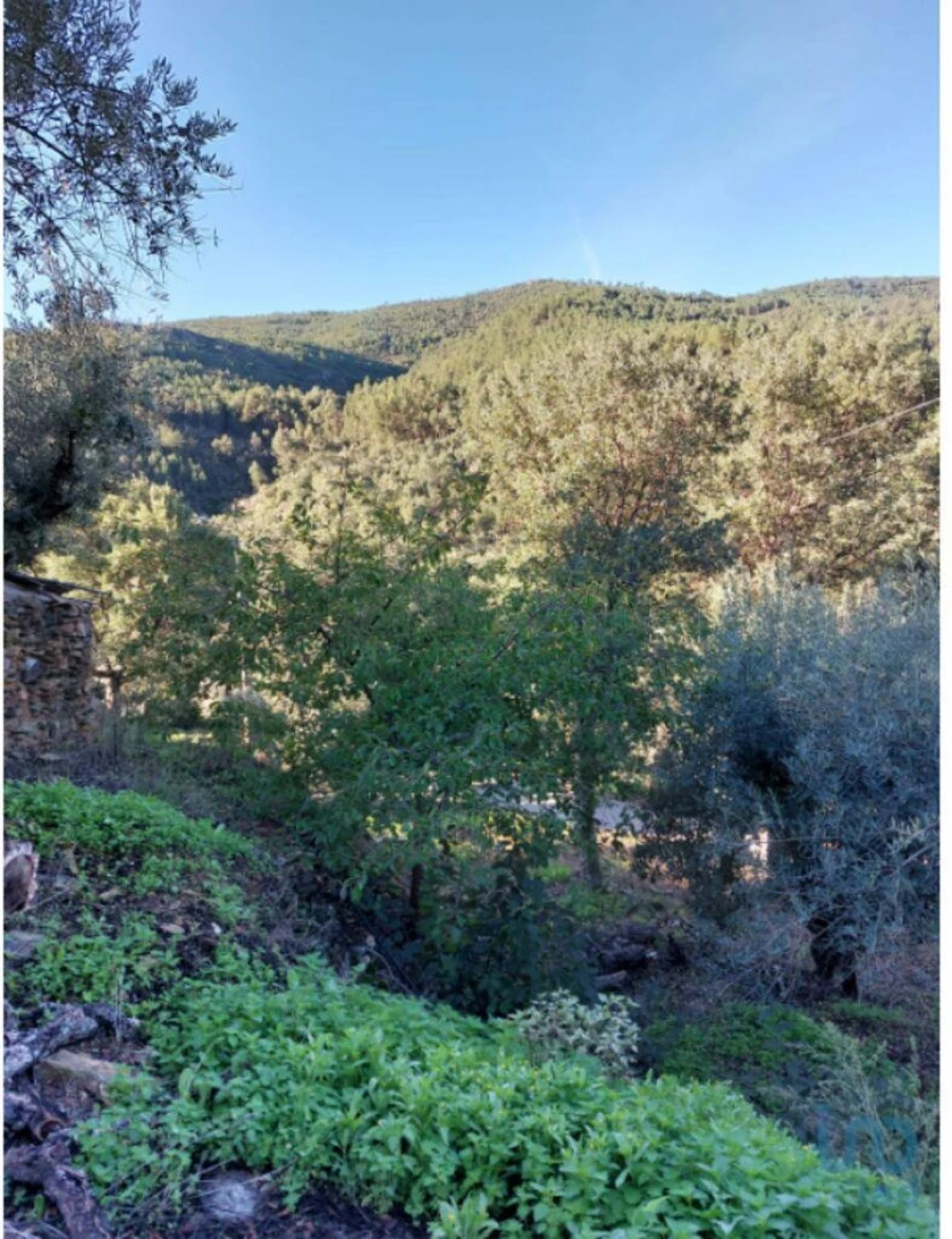 Moradia T5 para Venda em Sé e São Lourenço Foto 9