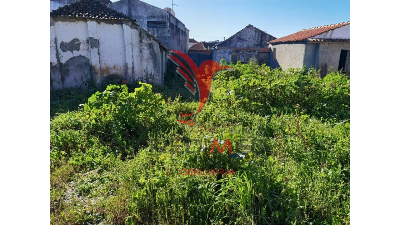 Moradia T2 para Venda em Azoia de Cima e Tremês Foto 19