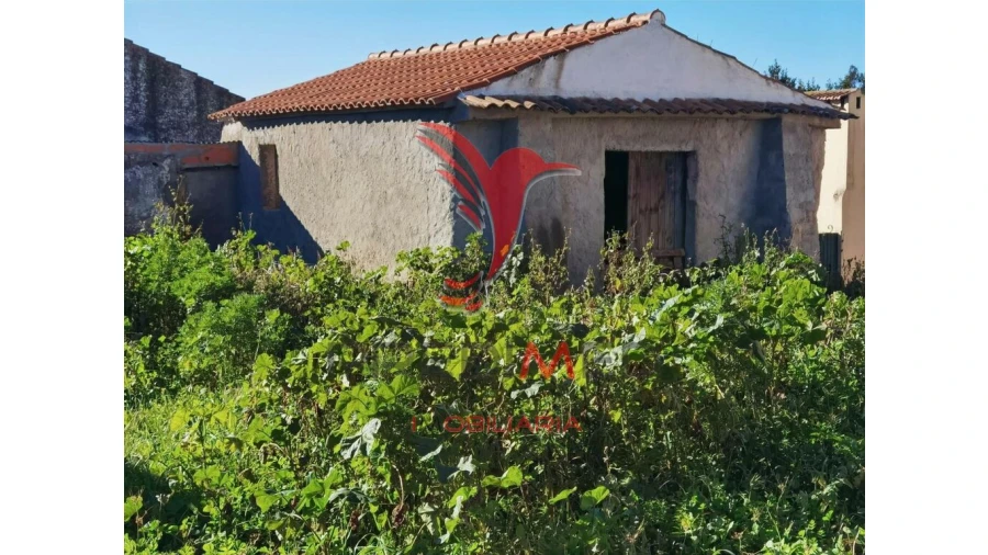 Moradia T2 para Venda em Azoia de Cima e Tremês Foto 11