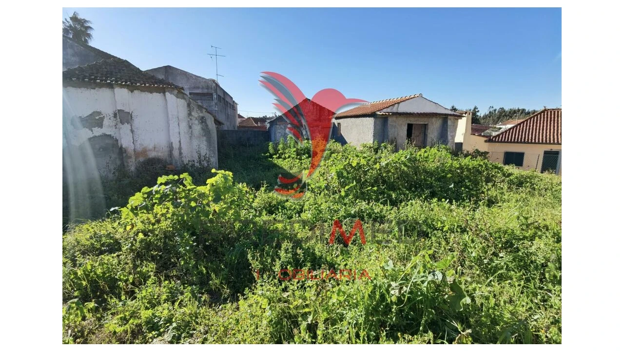 Moradia T2 para Venda em Azoia de Cima e Tremês Foto 10