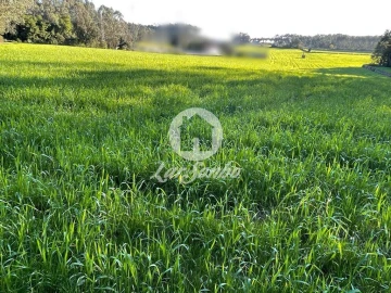 Terreno para Venda em Fornelo e Vairão