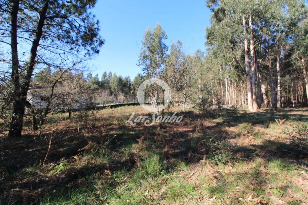 Terreno para Venda em Vermoim Foto 2