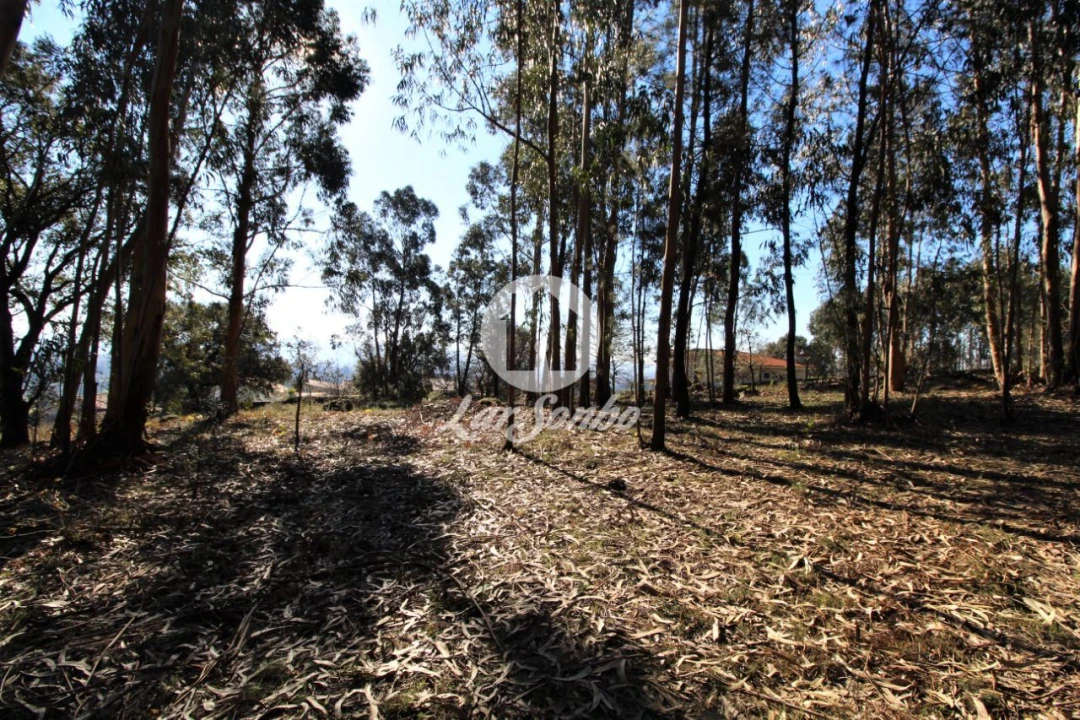 Terreno para Venda em Vermoim Foto 6