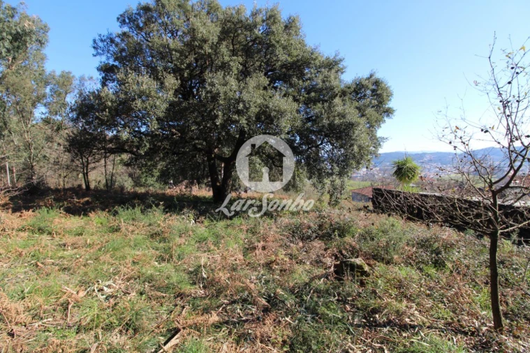 Terreno para Venda em Vermoim Foto 3