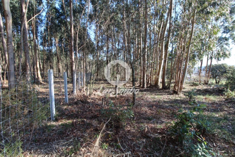 Terreno para Venda em Vermoim Foto 4