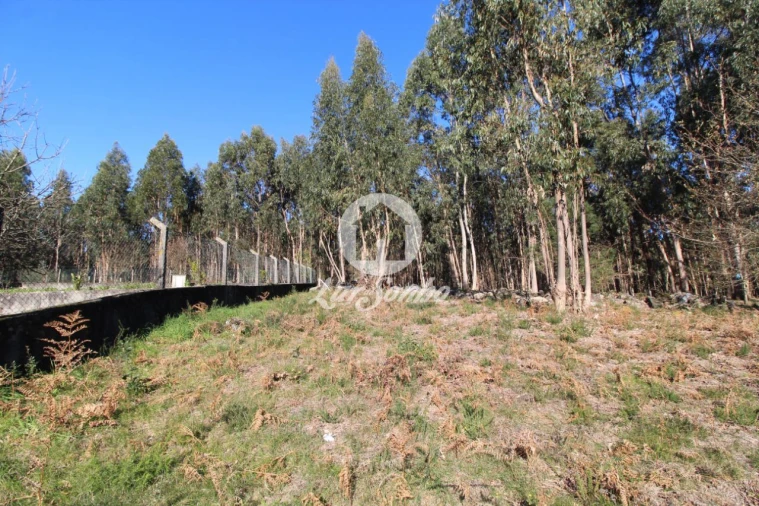 Terreno para Venda em Vermoim Foto 5