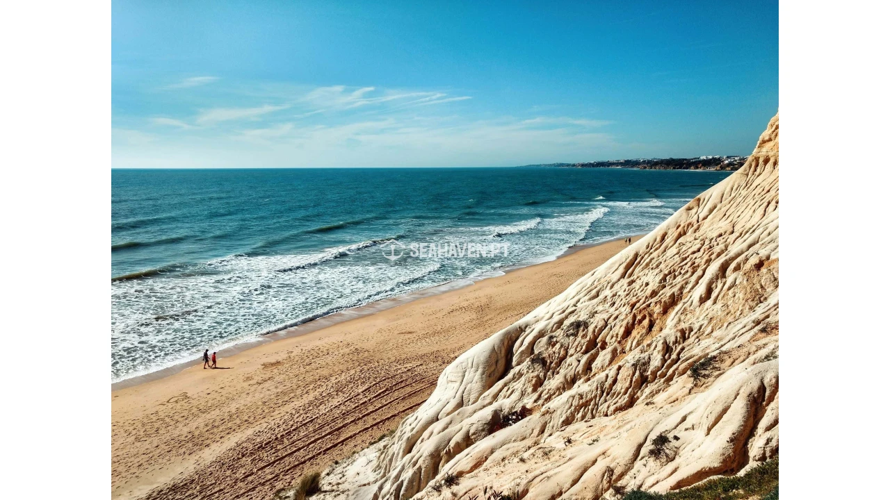 Terreno Agricola ou Rústico para Venda em Guia Foto 8