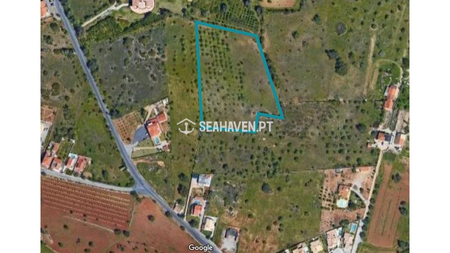 Terreno Agricola ou Rústico para Venda em Guia Foto 9