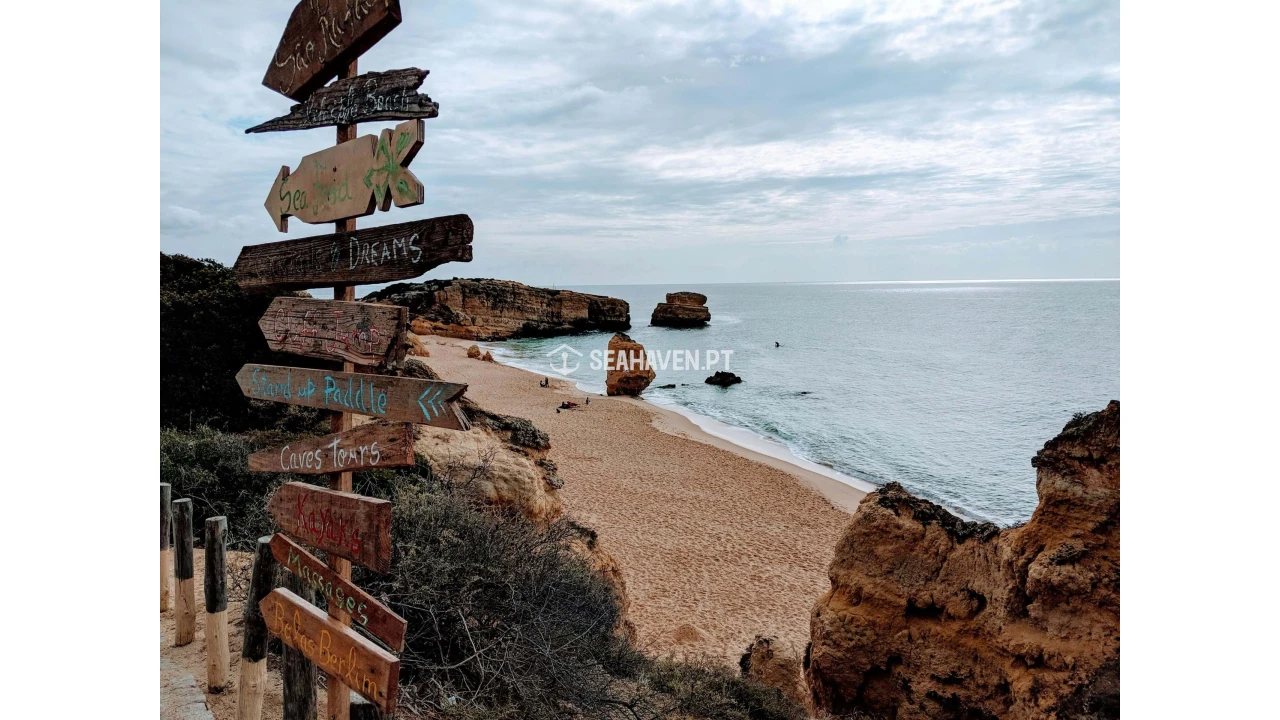 Terreno Agricola ou Rústico para Venda em Guia Foto 7