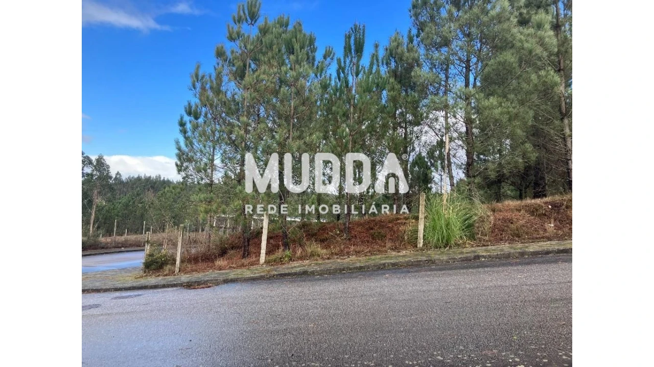Terreno para Venda em Nogueira do Cravo e Pindelo Foto 13