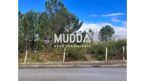 Terreno para Venda em Nogueira do Cravo e Pindelo