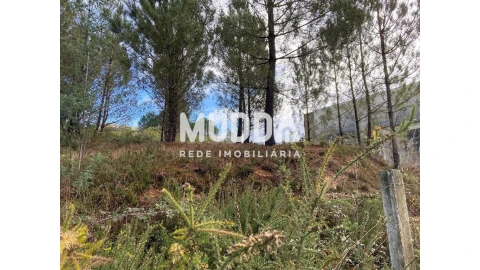 Terreno para Venda em Nogueira do Cravo e Pindelo