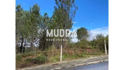 Terreno para Venda em Nogueira do Cravo e Pindelo