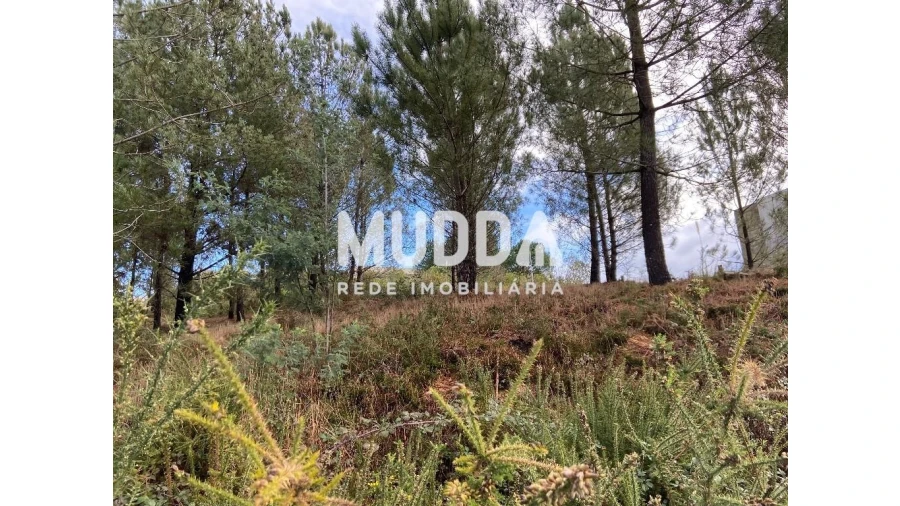 Terreno para Venda em Nogueira do Cravo e Pindelo Foto 12