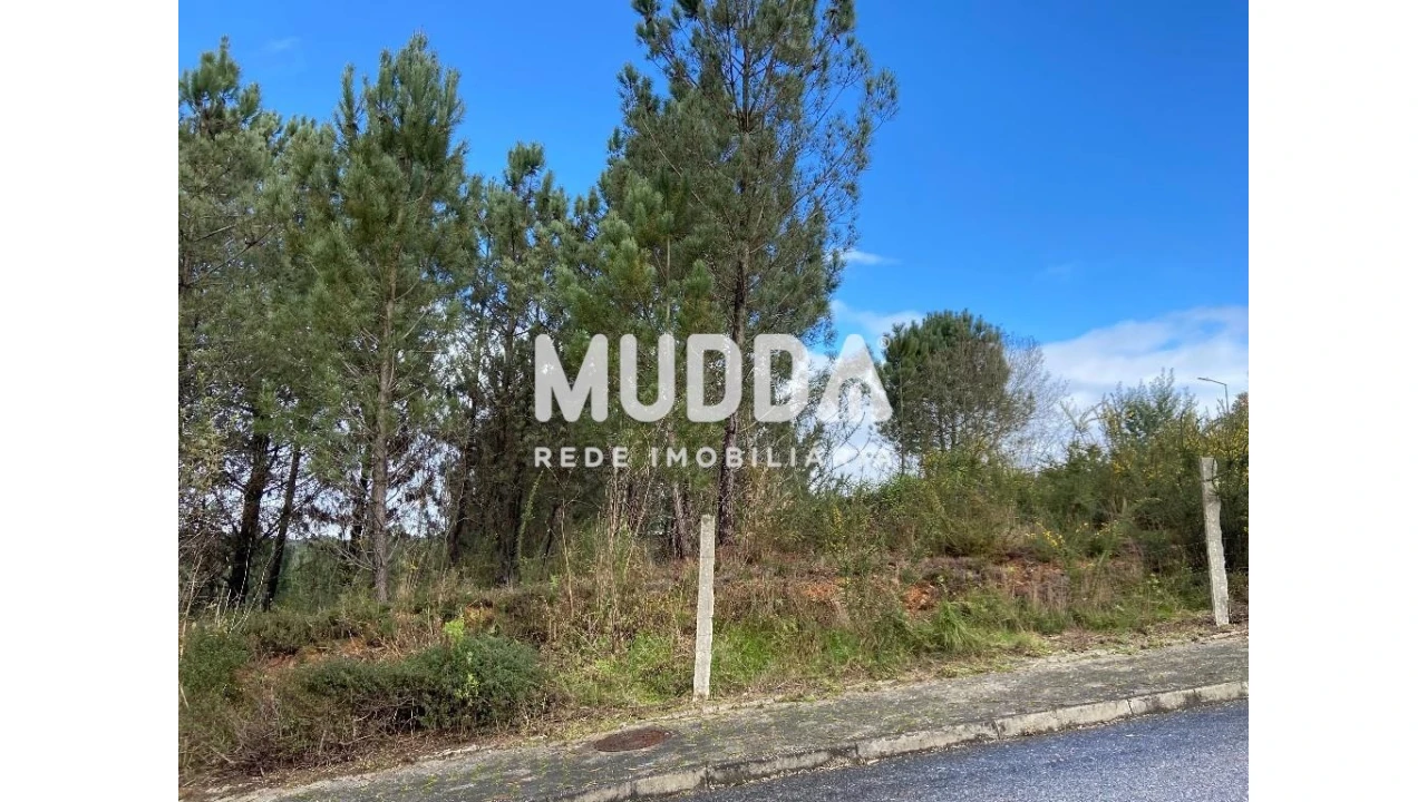 Terreno para Venda em Nogueira do Cravo e Pindelo Foto 5