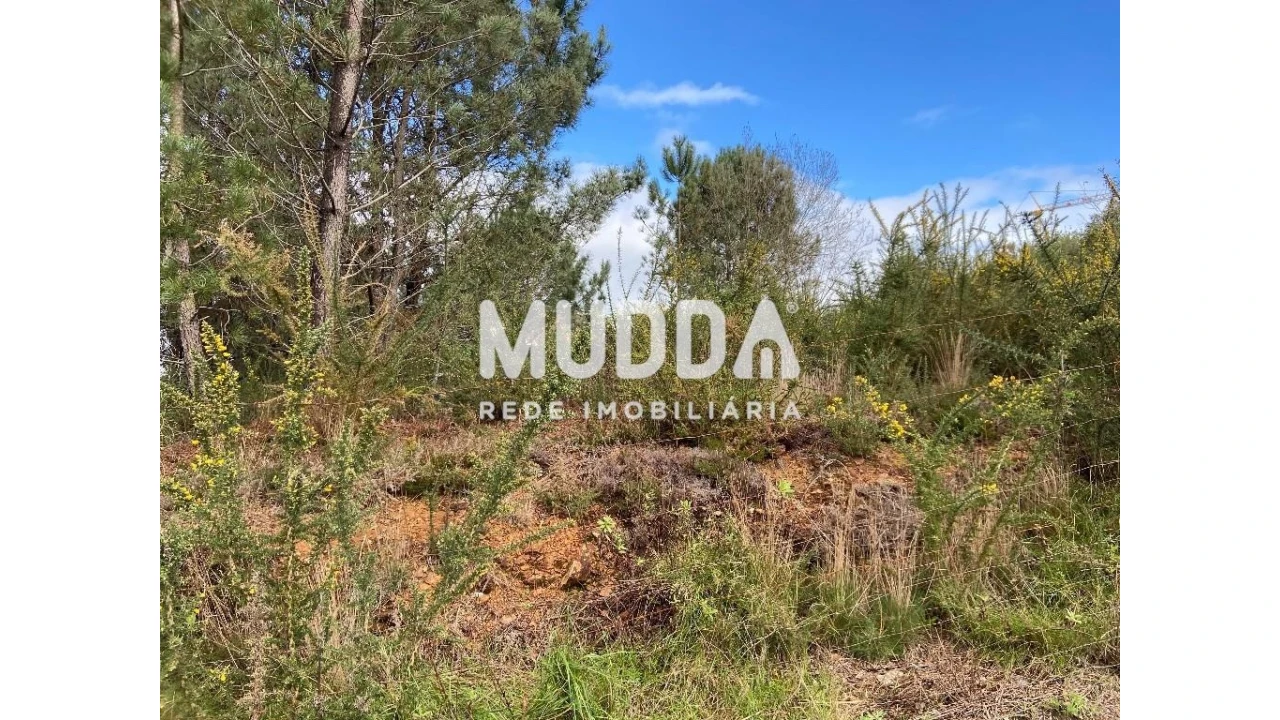 Terreno para Venda em Nogueira do Cravo e Pindelo Foto 3