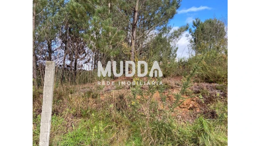 Terreno para Venda em Nogueira do Cravo e Pindelo Foto 5