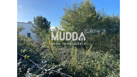 Terreno para Venda em Nogueira do Cravo e Pindelo