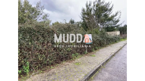 Terreno para Venda em Nogueira do Cravo e Pindelo