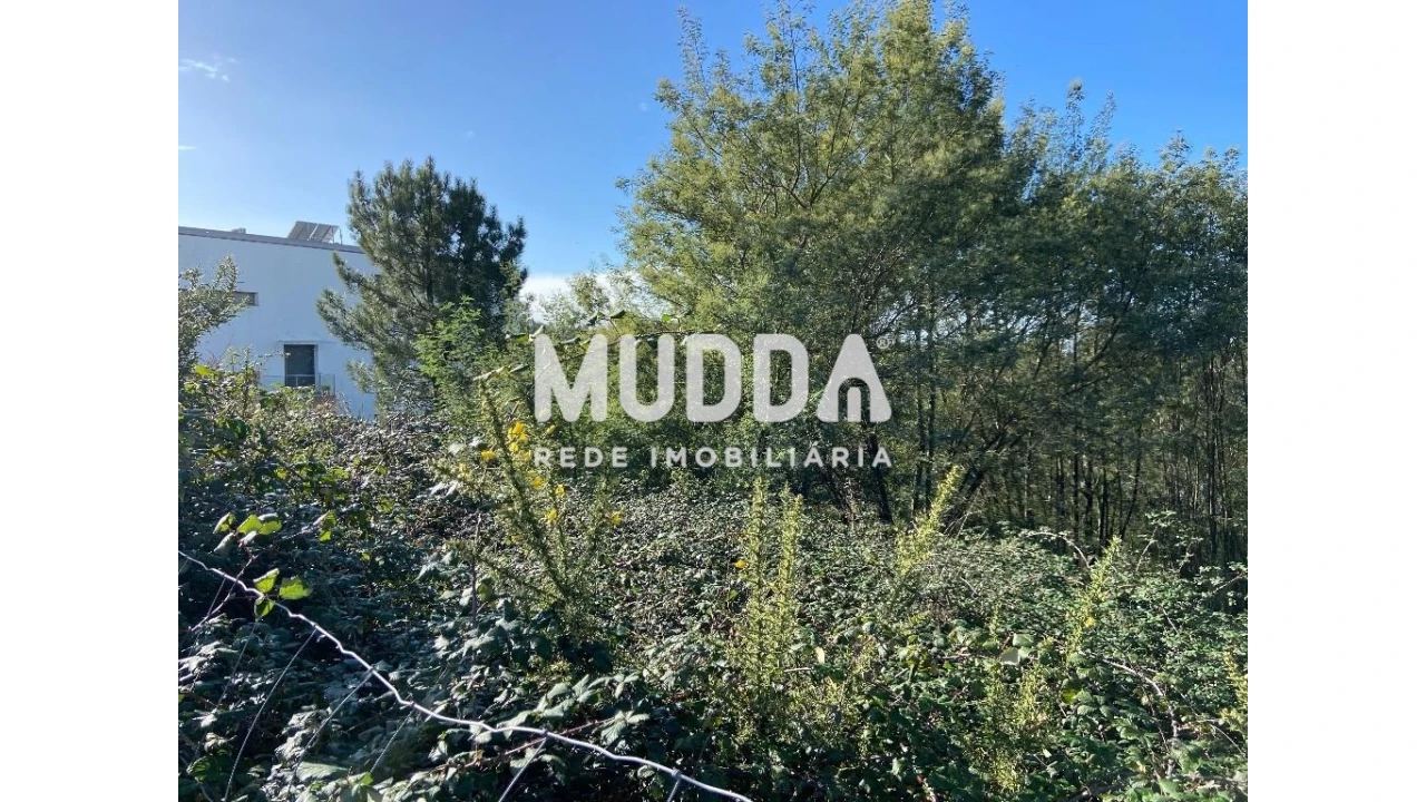 Terreno para Venda em Nogueira do Cravo e Pindelo Foto 3