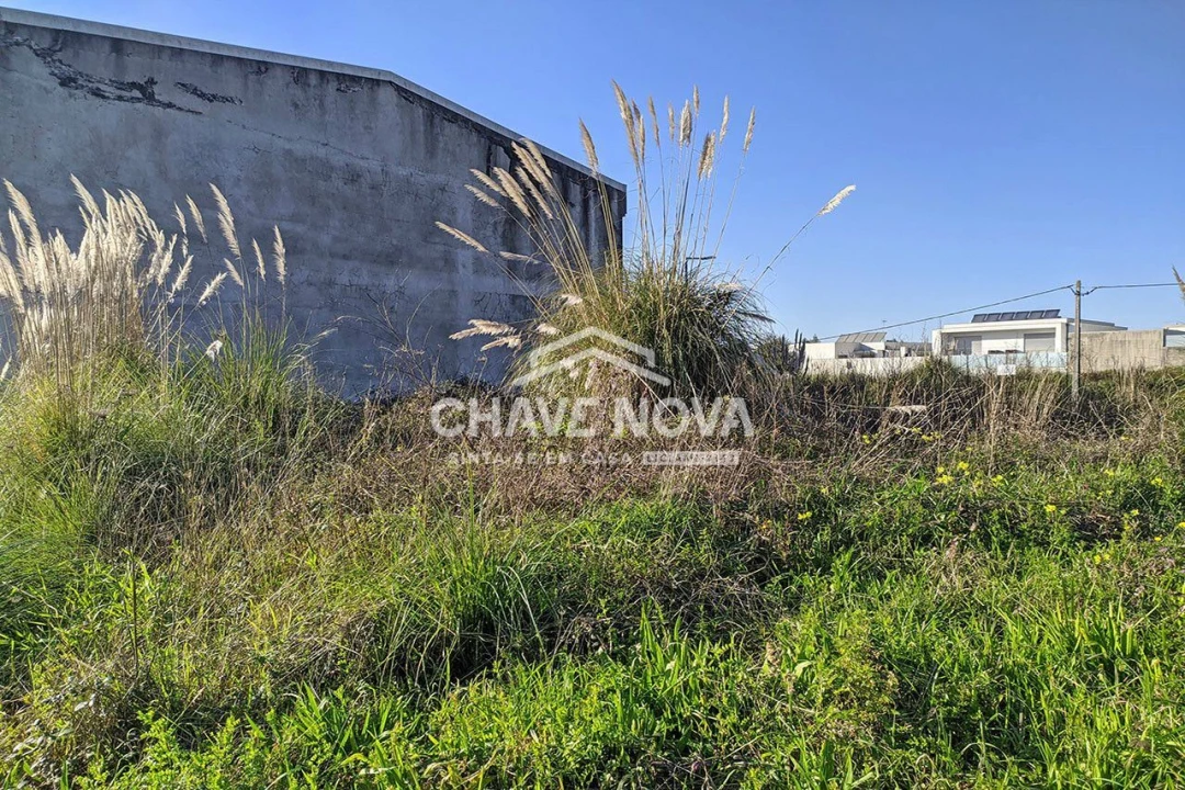 Terreno P/ Prédio para Venda em Nogueira da Regedoura Foto 6