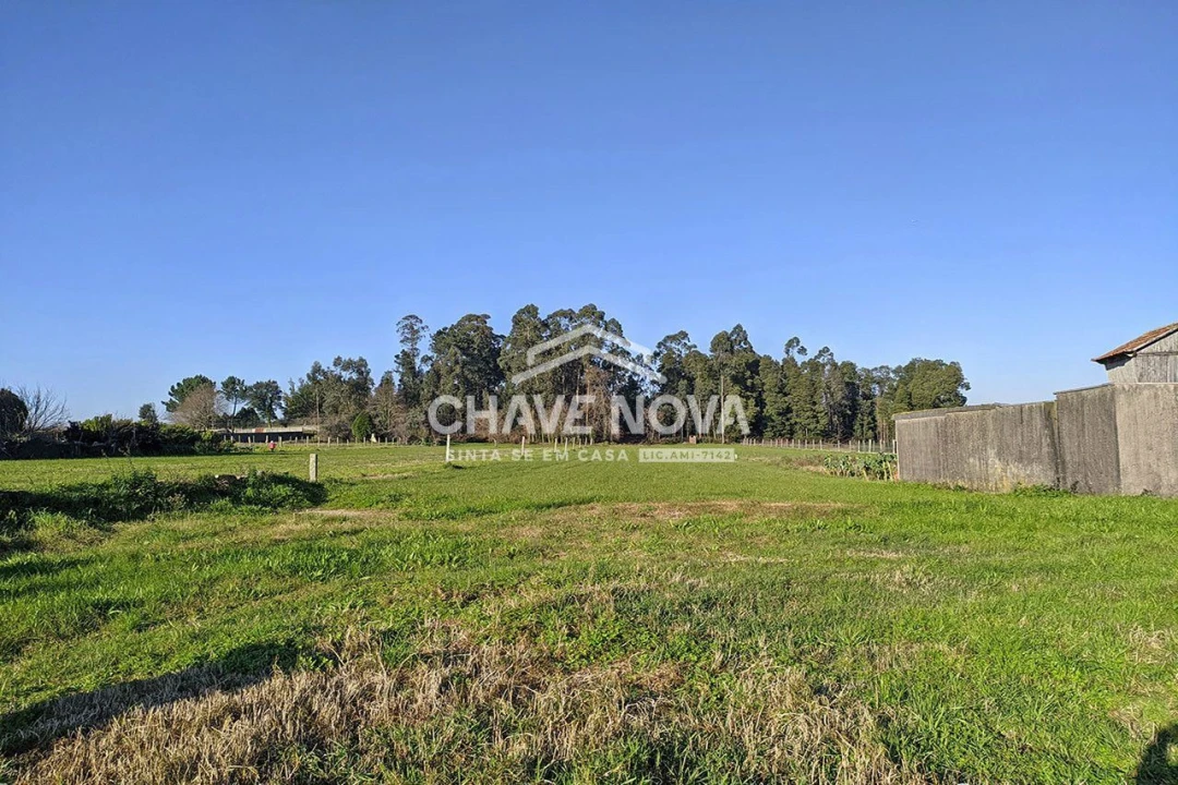 Terreno Agricola ou Rústico para Venda em Arcozelo Foto 4