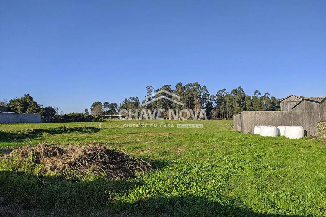 Terreno Agricola ou Rústico para Venda em Arcozelo Foto 5