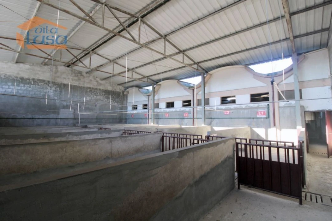 Armazém para Venda em Oliveira do Hospital e São Paio de Gramaços Foto 11