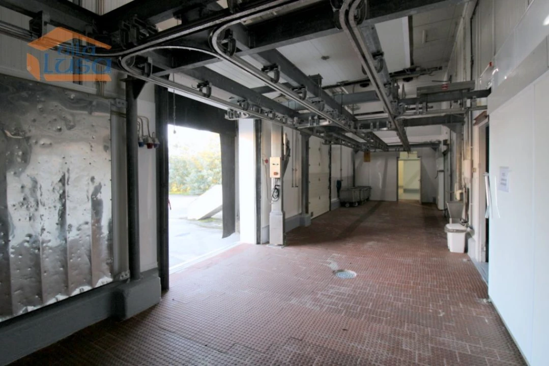 Armazém para Venda em Oliveira do Hospital e São Paio de Gramaços Foto 30