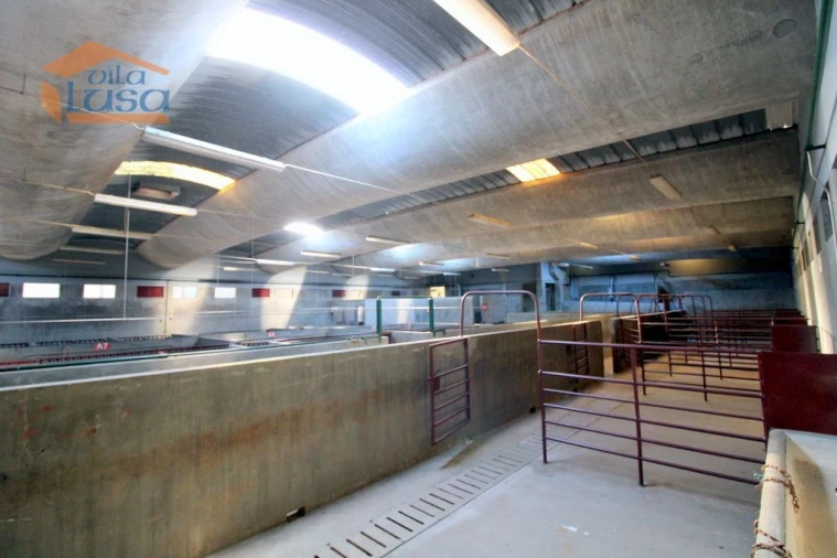 Armazém para Venda em Oliveira do Hospital e São Paio de Gramaços Foto 3