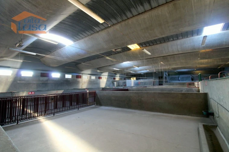 Armazém para Venda em Oliveira do Hospital e São Paio de Gramaços Foto 1